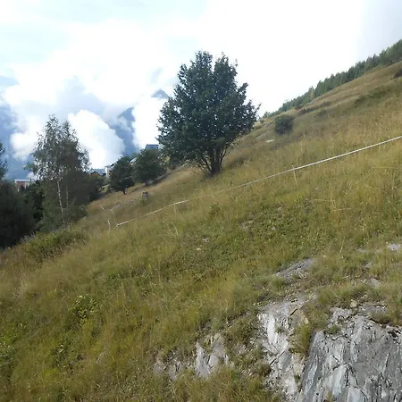 Etendard Les Deux Alpes